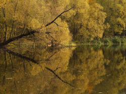 0_c3684_64adfc08_M.jpg