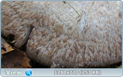 0_ec12b_24d06edf_orig.png