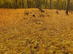 0_c369a_816050b8_M.jpg