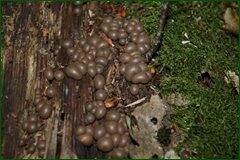 0_c276d_cd339810_orig.jpg