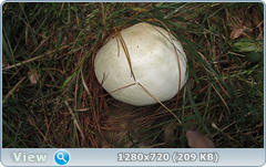 0_e9b3f_320ce076_orig.png