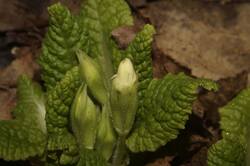 0_dfa73_24d20047_orig.jpg