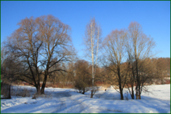 0_11a0c9_f4adf622_orig.png