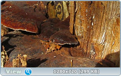 0_fc31d_1d8c5658_orig.png