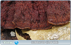 0_fc454_6d2ca09_orig.png