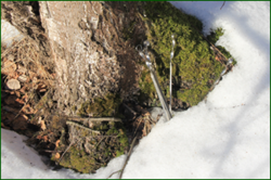 0_116d51_5e749581_orig.png