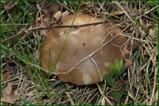 0_e1dec_de2a90d3_orig.png