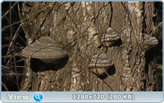 0_101348_c3b54cb_orig.png