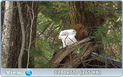 0_10134e_da288a30_orig.png