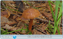 0_fb90a_98fdd8a3_orig.png