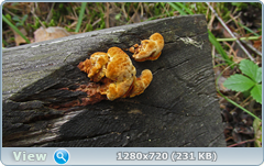0_fc298_d93ff5c3_orig.png
