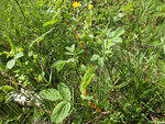 0_ba172_443e4875_S.jpg