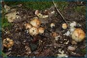 0_d2a50_57303d6e_orig.jpg