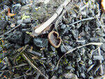0_ba011_6612fc16_S.jpg
