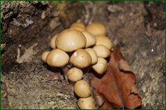 0_c28e3_457c3e16_orig.jpg