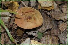 0_c2913_e7ab195d_orig.jpg