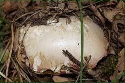 0_c342c_912bf6d0_orig.jpg