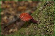 0_c12d3_e26e9c3_orig.jpg