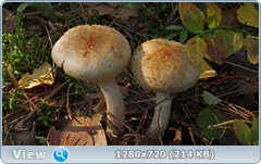 0_ef3b2_a3455f38_orig.png