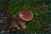 0_d2a12_1a556614_orig.jpg