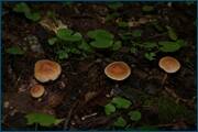 0_d2a68_37c39054_orig.jpg