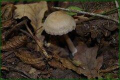 0_c28c9_406ef042_orig.jpg