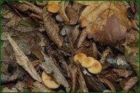 0_c19ed_d1bd5643_orig.jpg