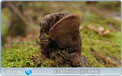 0_f4d48_7b8c9d37_orig.png