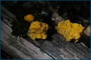0_d23f4_4724c18d_orig.jpg