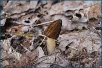 0_cc96e_921c0179_orig.jpg