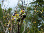 0_ad055_378e5053_S.jpg