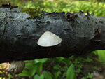 0_ba185_41c5281f_S.jpg
