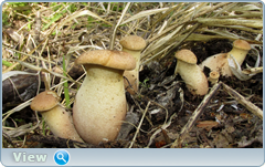 0_e5732_c5935f3c_orig.png
