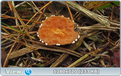 0_eab4d_3b10bae4_orig.png