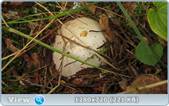 0_ef6c7_4e166e88_orig.png