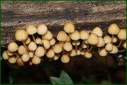 0_c1e3f_641564a_orig.jpg