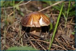 0_cea84_ab153964_orig.jpg