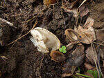 0_b9ff6_7437b4b5_S.jpg