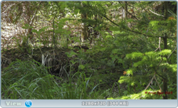 0_e85a9_8449e72f_orig.png