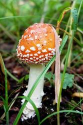 0_1639ac_4ec9d832_L.jpg