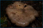 0_d29f6_2433e19e_orig.jpg