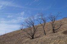 0_ca385_e10826f5_orig.jpg