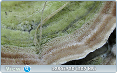 0_ea42a_b070a638_orig.png
