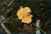 0_d2a90_cf6cb408_orig.jpg
