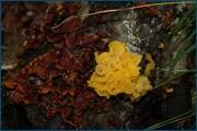 0_d2a92_3c2e218_orig.jpg