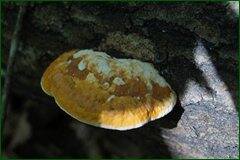 0_c3c93_9f8db1e5_orig.jpg
