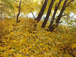 0_c3690_ead4cdfc_M.jpg