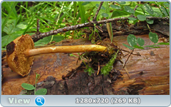 0_fb902_c0117ea9_orig.png