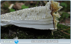 0_ef3a8_1e97bd74_orig.png