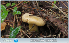 0_e9ac5_410395b0_orig.png